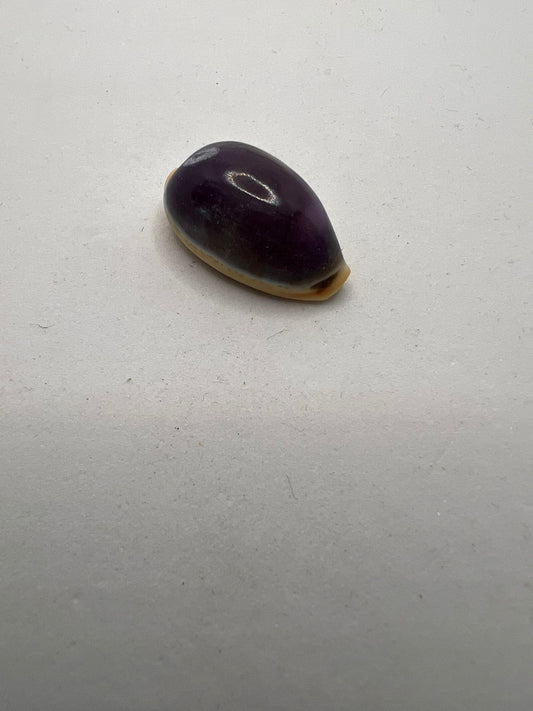 1132 Vintage Muschelperle 25mm